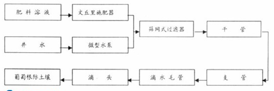 葡萄滴灌设备安装示意图