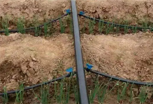 ιʺҩ